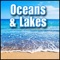 Water, Ocean - Large Group of Seagulls, Light Ocean Waves Lapping, Seashore, Surf Ocean, Surf & Waves artwork