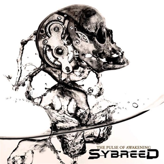 Cover artwork for Meridian A.D.