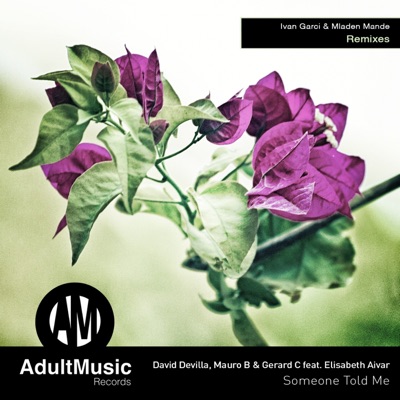 Someone Told Me (feat. Elisabeth Aivar) [Remixes] - EP