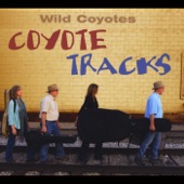 Raise a Ruckus / East Tennesse Blues