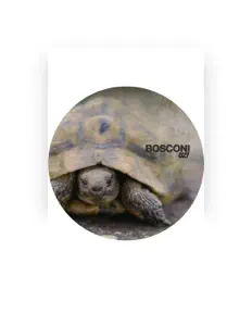 Luister naar Gari Romalis, bekijk muziekvideo's, lees de bio, bekijk de tourdata, en meer!