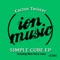 Simple Cube (Matt Heize Remix) - Cactus Twister lyrics