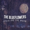 The Blueflowers