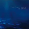 Deeper Into the Ocean
