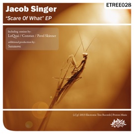 N Z T Jacob Singer & Senmove
