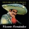 Hermoso Cariño - Vicente Fernández lyrics