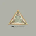 In Every Direction (Dale Earnhardt Jr. Jr. Remix)