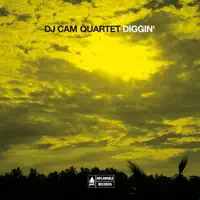 Think Twice — DJ Cam