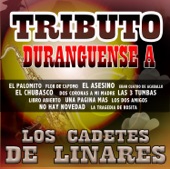 Los Cadetes de Linares - Los Dos Amigos
