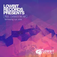 Confetti in Her Hair (Luis Junior Remix) — MUUI