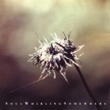 Soulwhirlingsomewhere - 5 days & the mind's erased