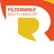 South Disco - Filterwolf lyrics