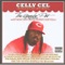 Luv It Man (feat. Mr. 3-2, Billy Cook, Fat Pat) - Celly Cel lyrics