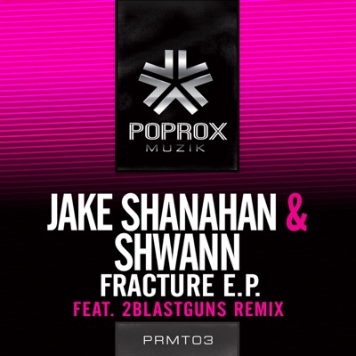 Fracture - Single