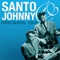 Hey There Lonely Girl - Santo & Johnny lyrics