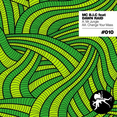 Mr. Jungle / Change Your Mass (feat. Dawn Raid) - Single