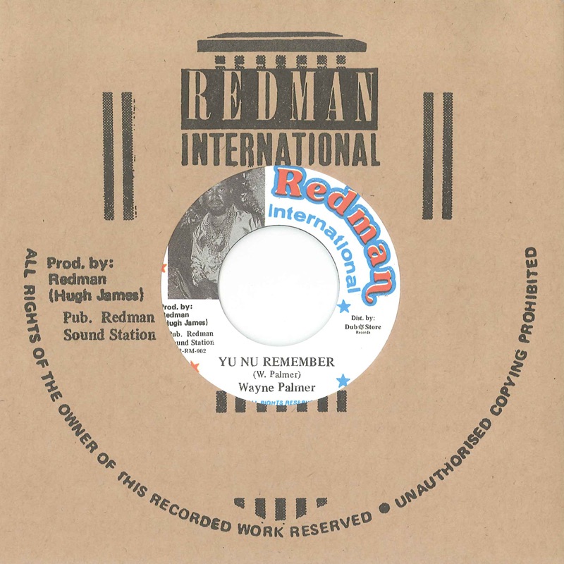 Yu Nu Remember / Version - Single