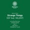 Strange Things (Dim Vach Remix) [feat. Valenti] - DSF lyrics