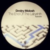 The End of the Labyrinth - Single