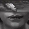 Samba em Pliet