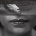 Samba em Pliet