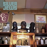 Silver Jews - I'm Getting Back Into Getting Back Into You