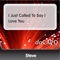I Just Called to Say I Love You - Steve lyrics