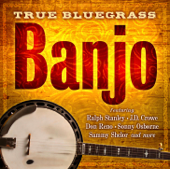 True Bluegrass Banjo - Various Artists