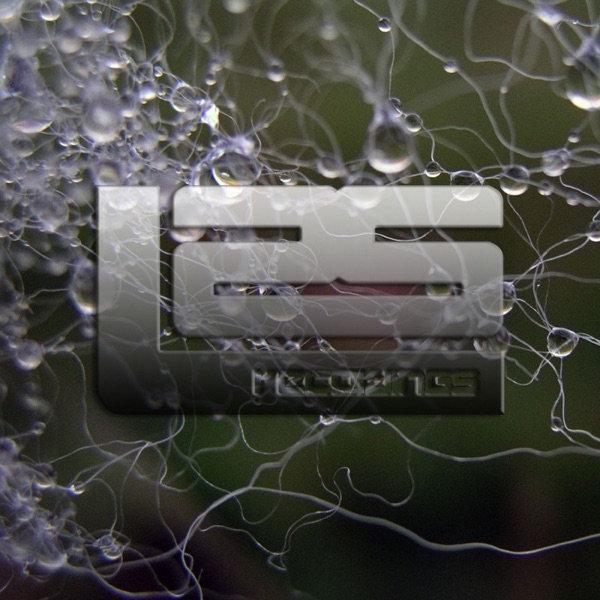Wet Wool - Single