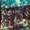Express Rising - Winter the Heart