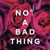 Not a Bad Thing - Single, 2014