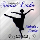 Swan Lake artwork