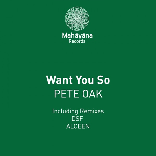 Want You So - Single