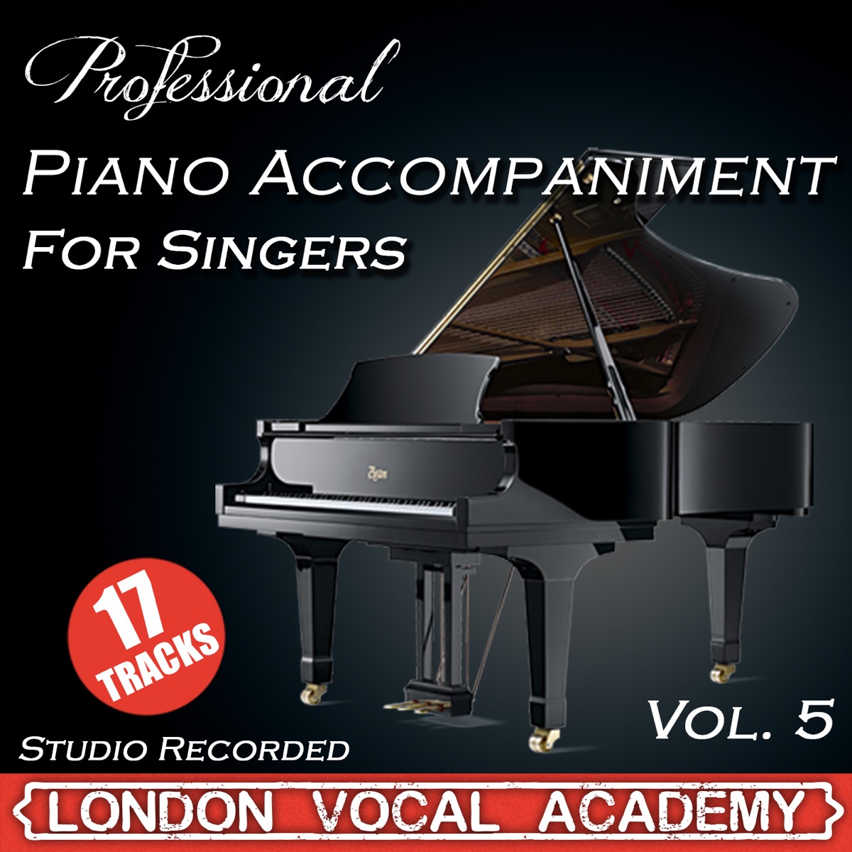 Professional Piano Accompaniment For Singers, Vol. 4 (Karaoke Backing Track)  by London Vocal Academy on Apple Music