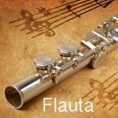 Flauta artwork