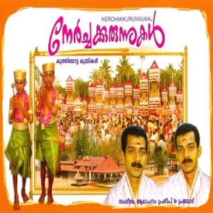 Nerchakkurunnukal