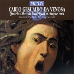 Madrigals, Book 4: Luci serene e chiare by Francesco Cera & Ensemble Arte Musica