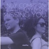 Missing You (feat. Ladybird)