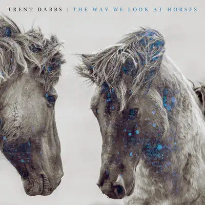 The Way We Look at Horses - Trent Dabbs The Way We Look at Horses - Trent Dabbs