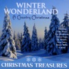 Winter Wonderland: A Country Christmas