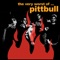 No Love Lost - Pittbull lyrics