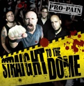 Pro Pain - Zugabel