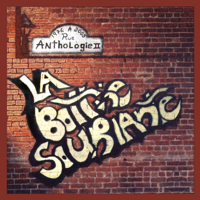 La Bottine Souriante - Anthologie II artwork