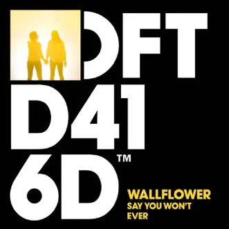 Say You Won't Ever (Asadinho Dub) by Wallflower song reviws