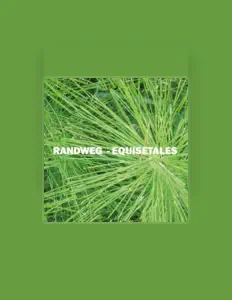 Randwegを聴いたり、ミュージックビデオを鑑賞したり、経歴やツアー日程などを確認したりしましょう！