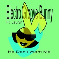 He Don't Want Me (feat. Lauryn) - Single - Electro Groove Bunny