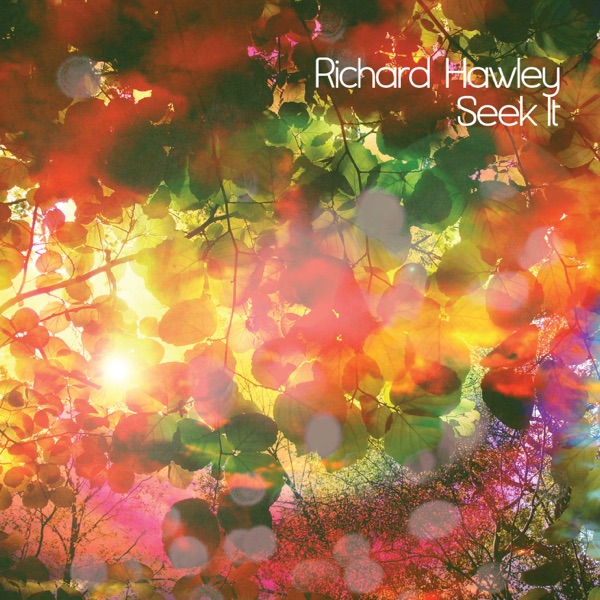 Seek It - Single - Richard Hawley