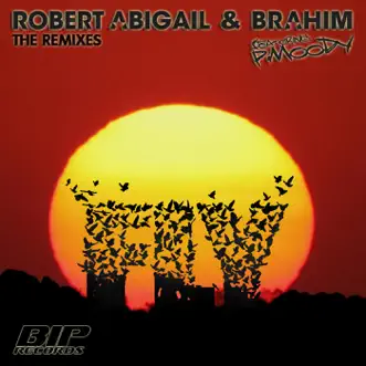 Fly (The Remixes) [feat. P. Moody] - Single by Robert Abigail & Brahim album reviews, ratings, credits