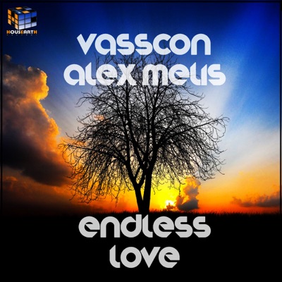 Endless Love - Single