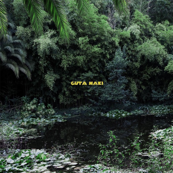 Cover artwork for Ikari